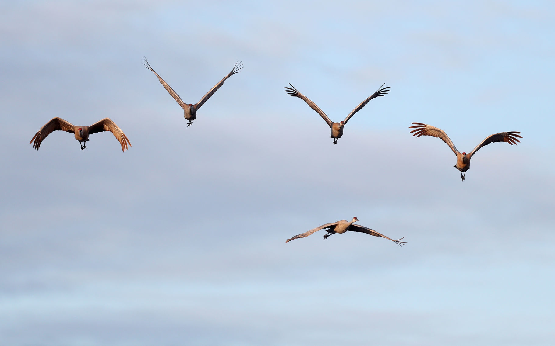 032120bp-wild-art-sweet-marsh-07